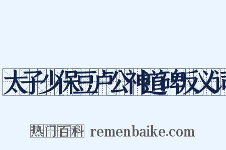 太子少保豆卢公神道碑反义词是什么意思的图片